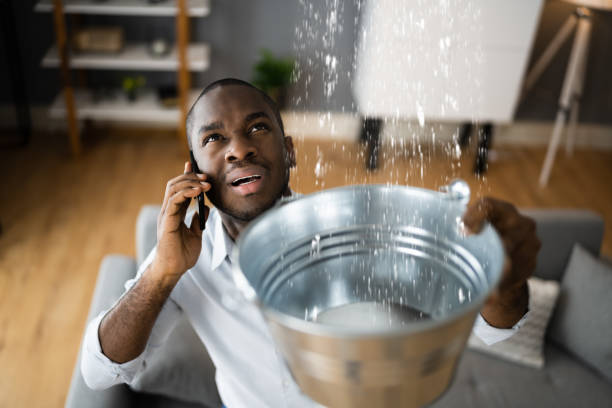 Best Water damage cleanup near me  in Ave Maria, FL