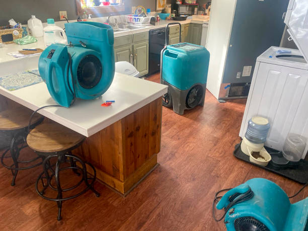 Best Commercial water damage restoration  in Ave Maria, FL