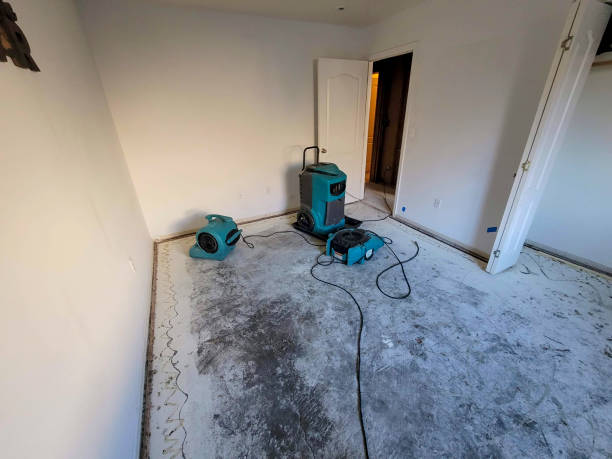 Best Mold removal after water damage  in Ave Maria, FL