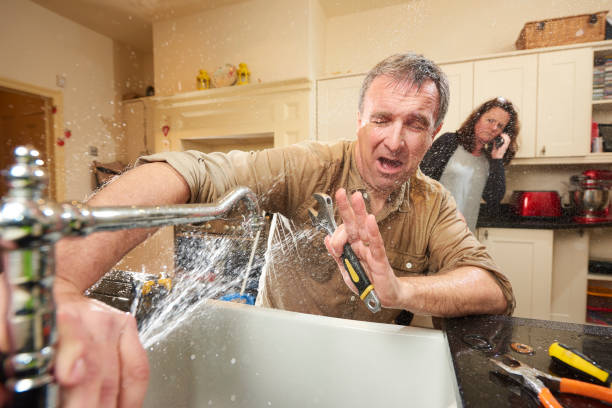 Best Ceiling water damage repair  in Ave Maria, FL